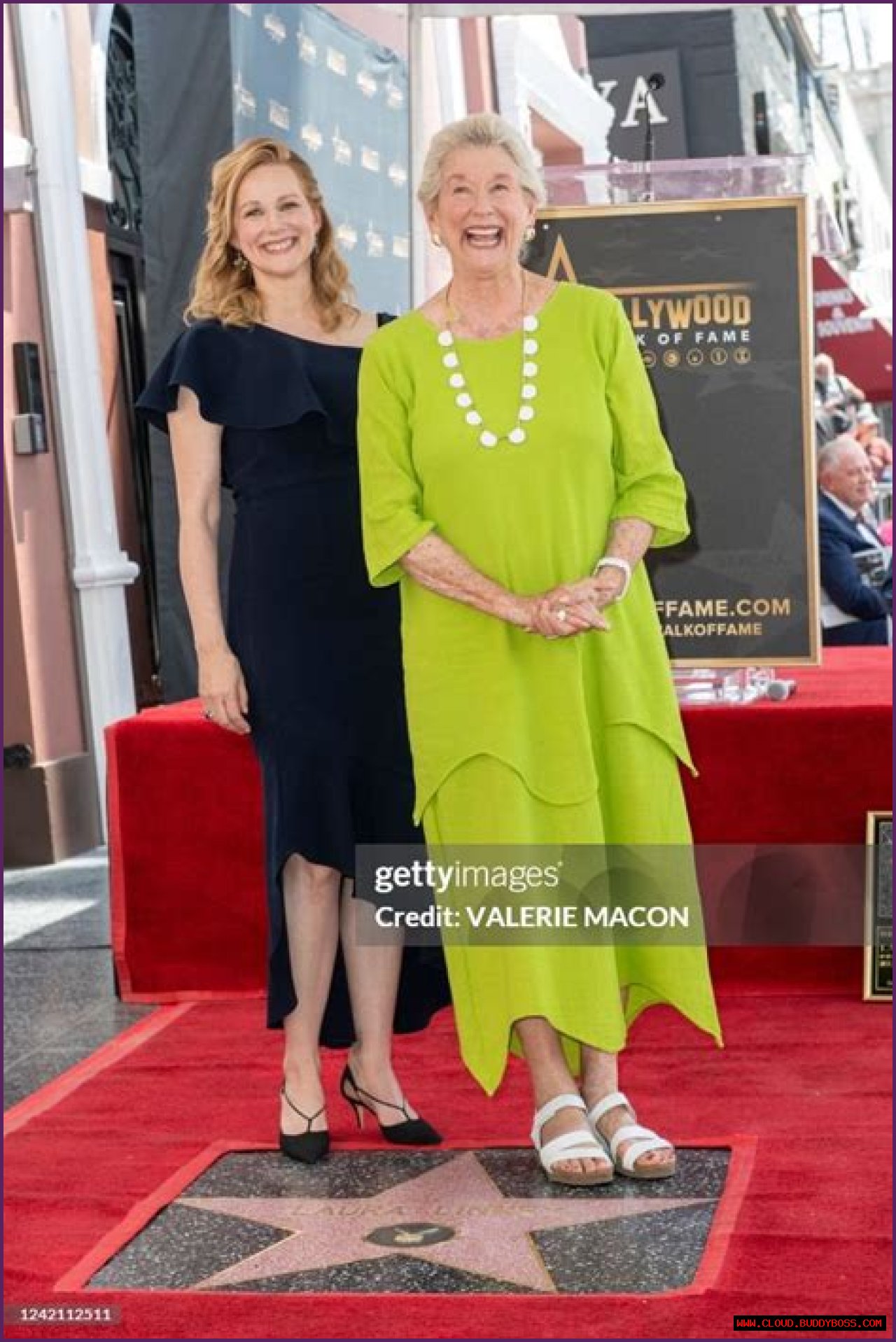 Unveiling Laura Linney's Journey As A Mother: Exclusive Insights And Surprises