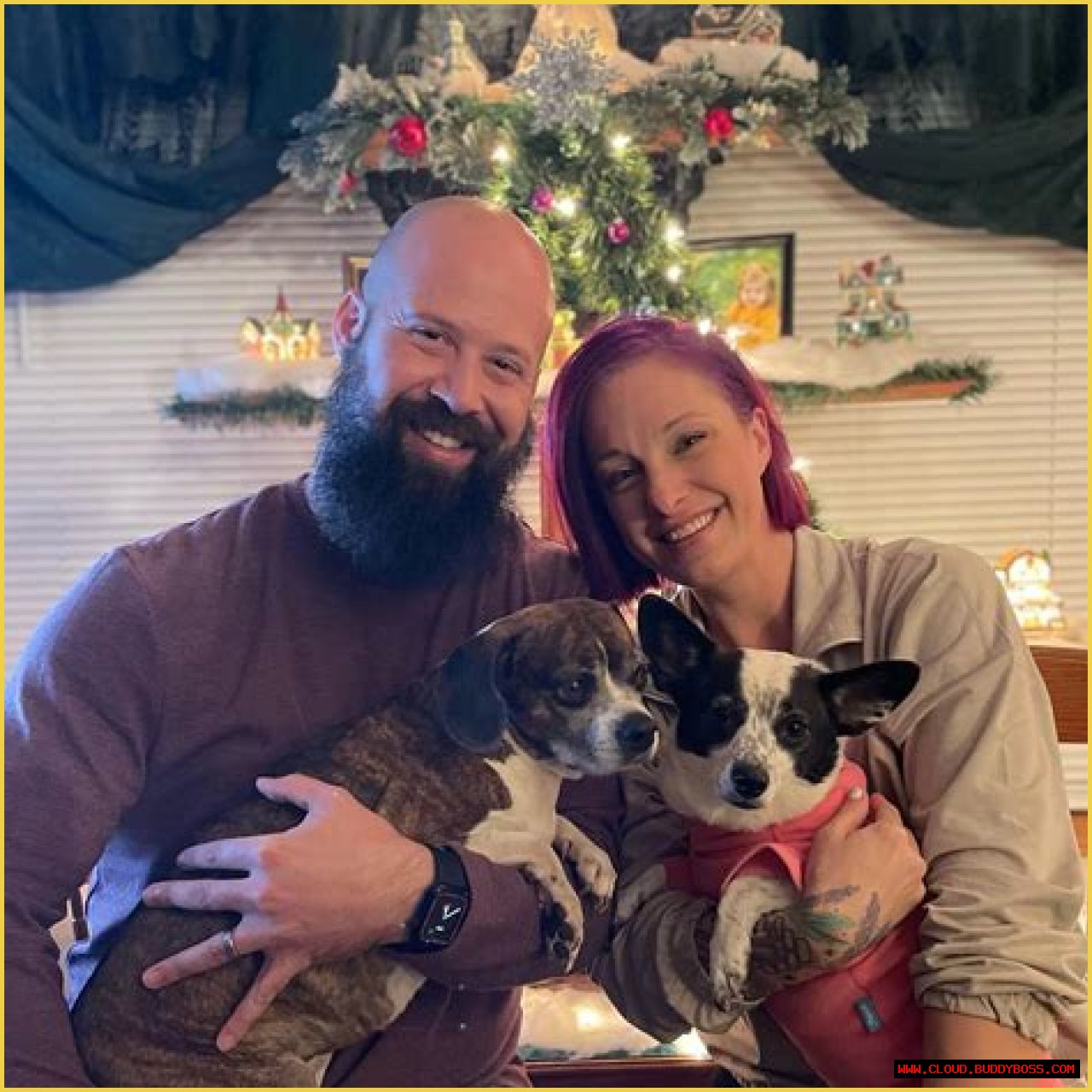 Unveiling The Reasons Behind Lisa Marie Joyce's Bar Rescue Departure